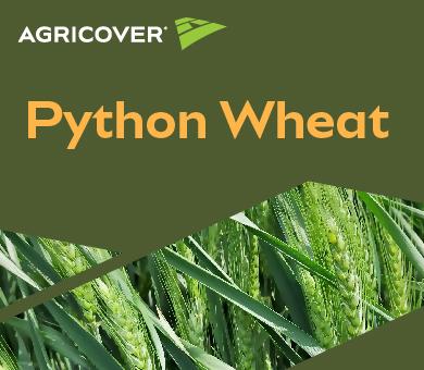 Python Wheat